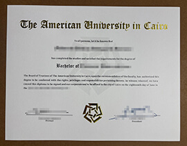 An excellent way to obtain a American University in Cairo degree.