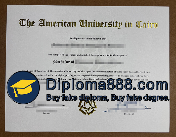 American University in Cairo diploma