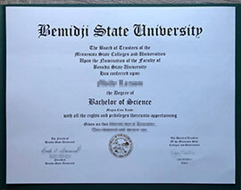 Efficient Online Portal for Bemidji State University degree Duplicates
