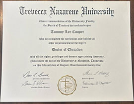 Surprising way to obtain a Trevecca Nazarene University degree.