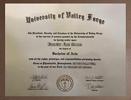 Is it Possible to obtain a University of Valley Forge degree online?
