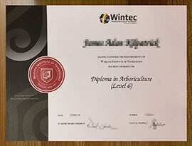 How Can I Order a Waikato Institute of Technology Diploma?