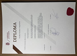 Reclaim Your Success: Get a Academia Groningana degree Copy