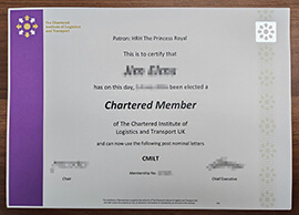 The Best Way to Obtain a Professional CILT certificate Copy Online