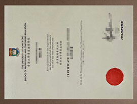 Earn a HKU SPACE certificate online and boost your career prospects.