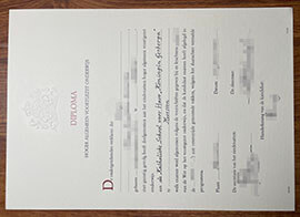I am interested in buying a HAVO diploma certificate online.