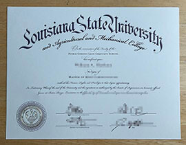 Copy Louisiana State University and A&M College Diploma Online