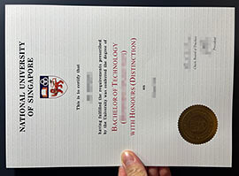 A Fast Platform to Order a National University of Singapore diploma Copies