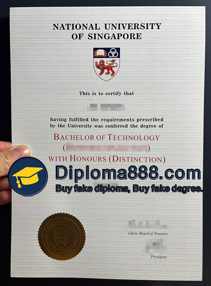 National University of Singapore degree