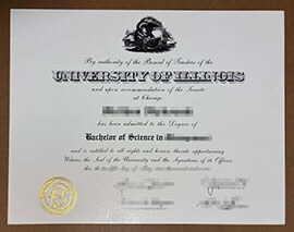 Can I purchase a University of Illinois Chicago diploma copy online?