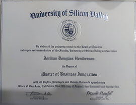 Online Help for Replacing Your University of Silicon Valley Degree.