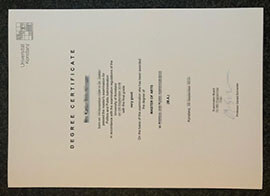 Online assistance for quickly replacing a Universität Konstanz diploma