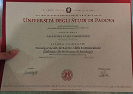 Myths about making a Università degli Studi di Padova diploma