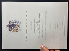 Guide to Requesting Your University of Sunderland diploma Copy Online