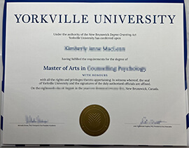 Order an authentic-looking Yorkville University novelty degree